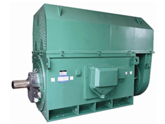 YR6304-10/1000KWYKK系列高压电机