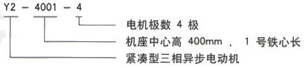 YR系列(H355-1000)高压YR6304-10/1000KW三相异步电机西安西玛电机型号说明